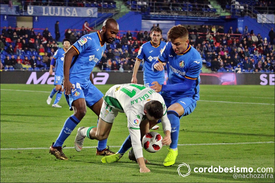 CordobesismoCom's tweet photo. GALERÍA 📷|
Las imágenes del @GetafeCF - @Cordobacfsad de #CopaDelRey |
https://t.co/SpTN3sIx0p
#GetafeCCF | #CórdobaCF | https://t.co/EVSj7v5khY