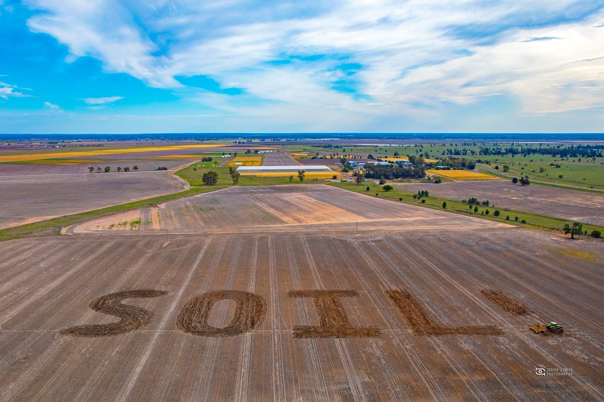 joshuajsmith's tweet image. Happy World SOIL day! SOIL is an essential ingredient to agriculture and our livelihoods. @Sydney_Uni @pbinarrabri Plant Breeding Institute Narrabri @NewSouthWales. joshuajs.com #WorldSoilDay #agchatoz @CanonAustralia @afsnsw @bencubby @Joe_Hildebrand @tomsteinfort