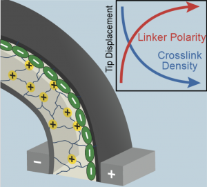 EvansGroupUIUC's tweet photo. Check out our publication in Advanced Materials Technologies on soft polymer actuators: "Precise Network Polymerized Ionic Liquids for Low‐Voltage, Dopant‐Free Soft Actuators." (students John Shen and Qiujie Zhao)
https://t.co/pAsmDeYQWM https://t.co/QWvDcCe9D3