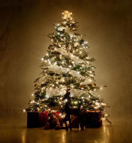 Chicca_M_'s tweet photo. "Non mondanizzare il Natale, non è nato l’albero ma Gesù" @Pontifex 
L'abete, tra le più diffuse usanze natalizie, è simbolo della #vita che serve a riorientare la bussola dei nostri interessi verso il regalo più bello: Gesù! Non falsiamo le nostre #tradizioni! #positionpapers https://t.co/EknusUN2WJ