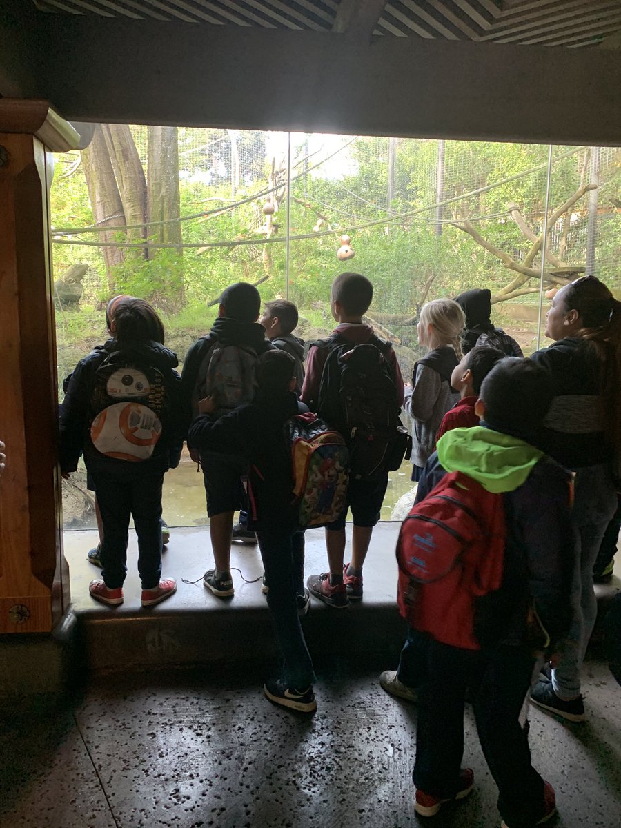 ms_bsilva8's tweet photo. #FieldTrip Day! Thank you @sandiegozoo for having us!!  @FeasterCharter #greatdayoflearning #animaladaptations #feasterlearns https://t.co/uOEywPsLaM