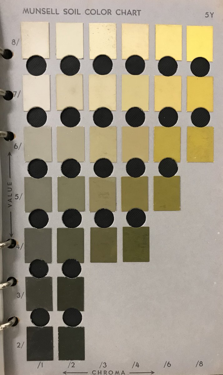 Munsell 10yr Color Chart