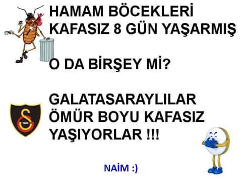 Alex02137066's tweet photo. #uanıntasmasıkimde 🖕🖕🖕🖕🖕 https://t.co/XS7qLYSO2A