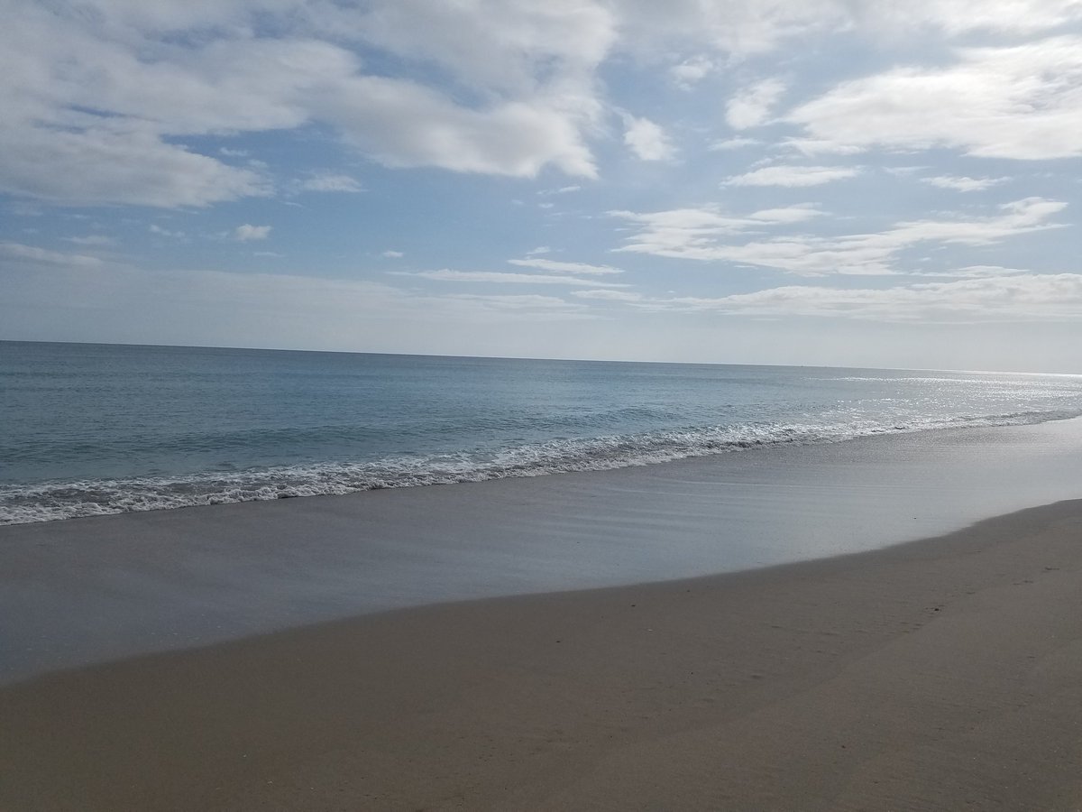 LlcOyster's tweet image. Happy Tuesday from the Oyster Boss Family.  . . Stay dry #Florida #flowgrown #OysterGirl #floridaWeather #rain