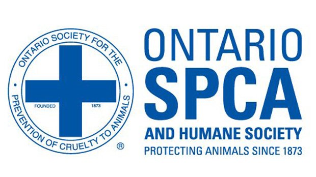 CP24's tweet photo. OSPCA will no longer euthanize dogs involved in attacks or enforce pit bull ban
https://t.co/2jzKWmIo3L https://t.co/b91xBU5XI6
