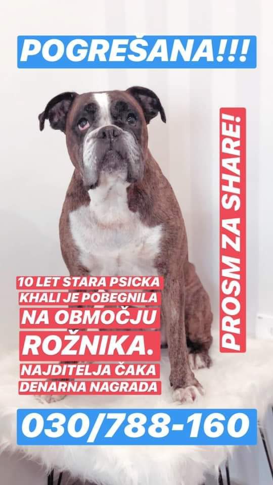 p_tyke's tweet image. Vsi k se setate v bliznji in bolj oddaljeni okolici Roznika. RT vraca nasmeh ;)