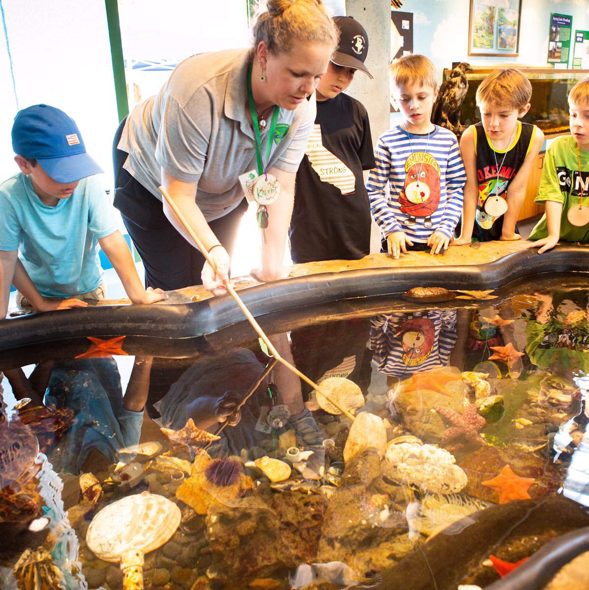 Sonoma County Parks tweet media