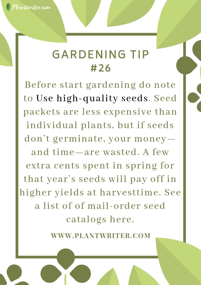 _plantwriter's tweet photo. Plants Lovers, 

Hope the gardening tips are useful for you. 
#plantlover #gardening #tips #seeds #garden #plant https://t.co/jlTuTNITwI