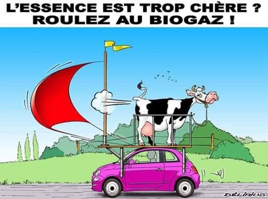 MATYLDA__'s tweet image. Teraz we Francji samochody będą jeździły na spinakerach....

facebook.com/photo.php?fbid…

Władysław Baryło