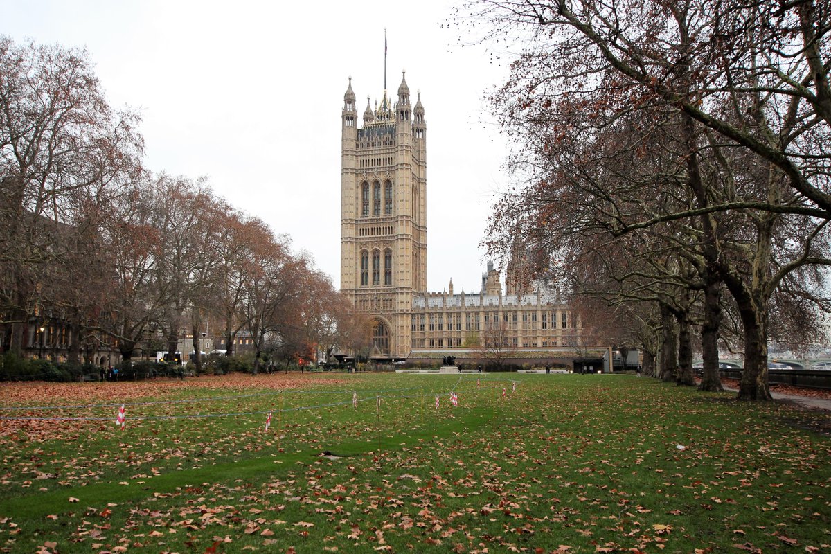 JeremyDBarrell's tweet photo. While history was being made inside today, I was outside looking at the proposed development of Victoria Tower Gardens. I am waiting to see the final proposals. From the design so far, there is likely to be a significant adverse impact on one of the best tree features in London. https://t.co/xCE6dvBCrw