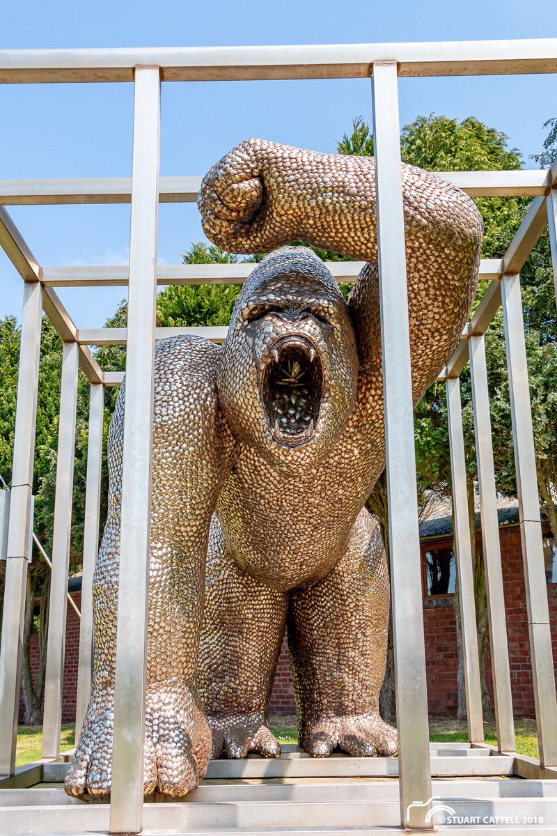 MarkPRamsey's tweet image. @WilliamShatner @BritishIronwork #spoongorilla