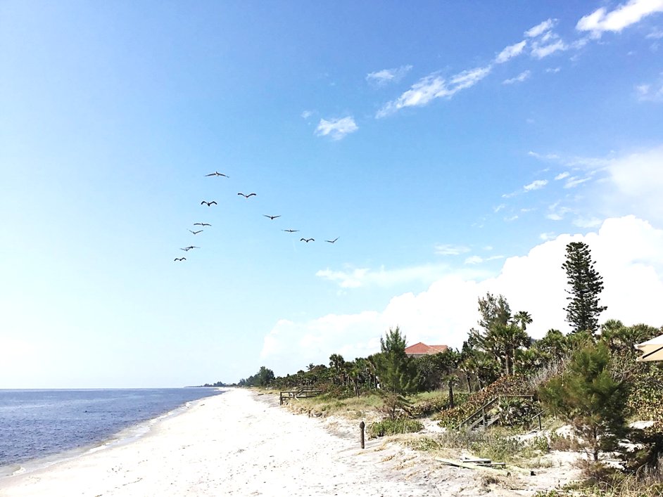 PearlBeachInnFL's tweet photo. We can't wait to see all our snowbird friends soon! 💙 #ManasotaKey #LoveFL https://t.co/q2DIuul6mH https://t.co/sY3F6CR0v9