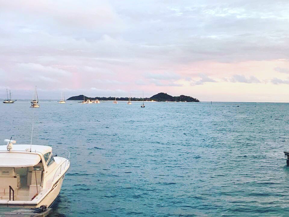 Get on the water! Free yourself. #onelifesailit #sailing #freedom #wildlife #seascapes #mothernature #seaair #relax #adventure #holidays #reflection #diving #caribbean #warmth #lifeskills #enjoy