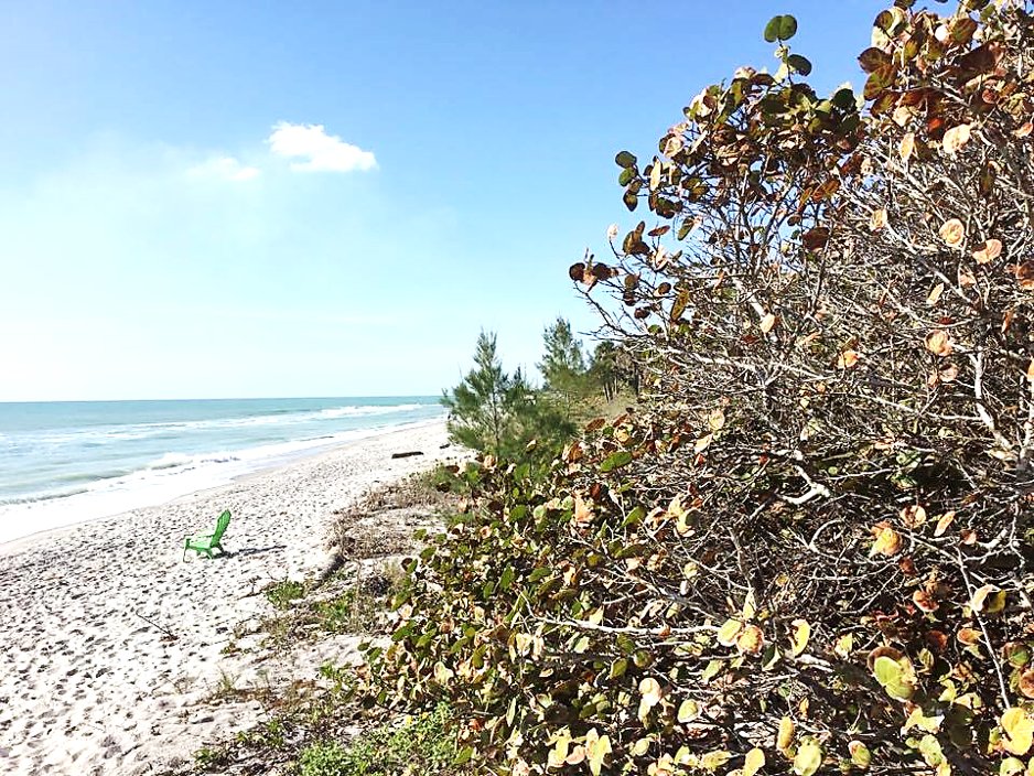 PearlBeachInnFL's tweet photo. Beach walks on Manasota Key can take all day...so make sure you start in the morning! There are infinite beach treasures to discover! #LoveFL https://t.co/uq8LWBFo98 https://t.co/icT0WMbkZm