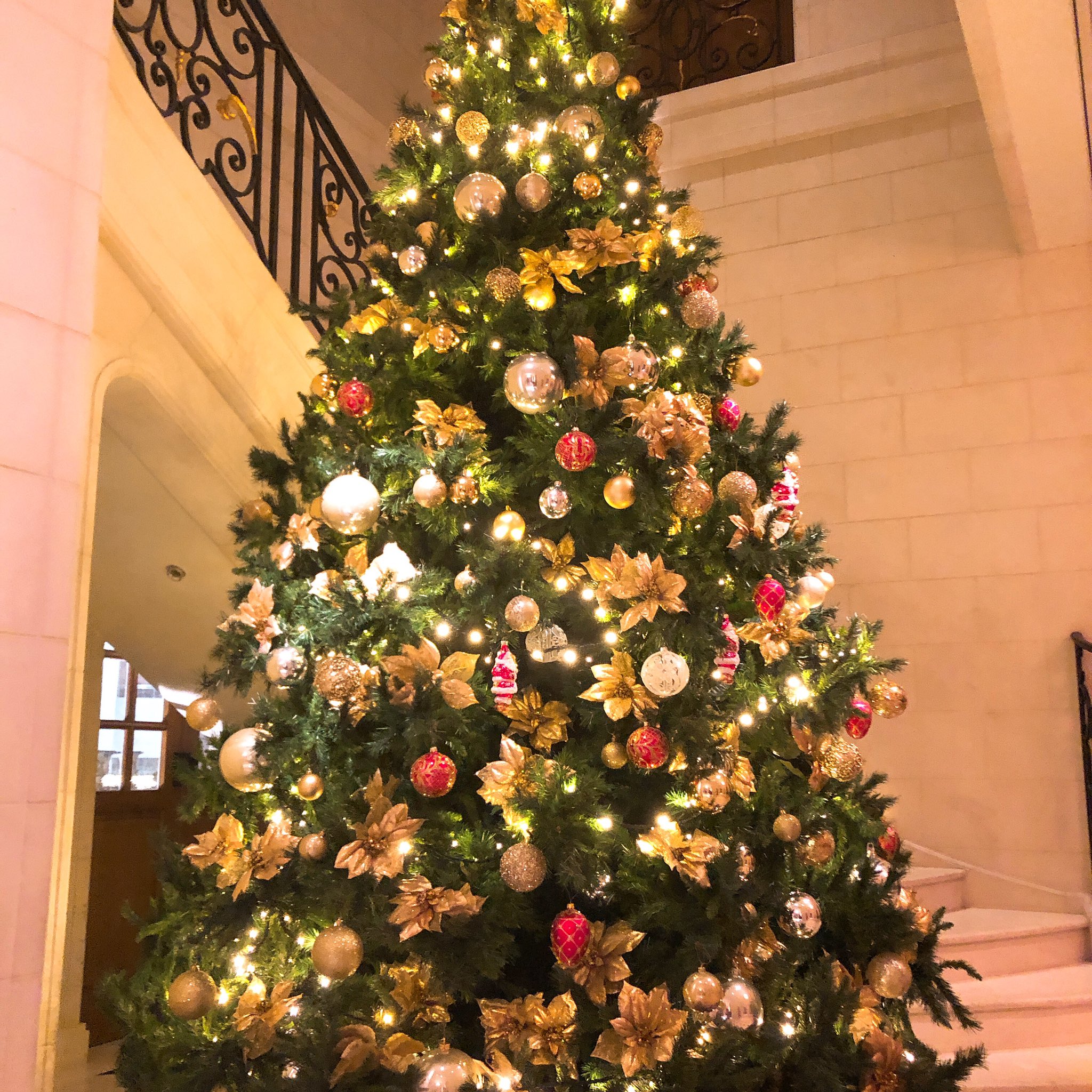 工藤ともえ Na Tviteru 恵比寿のジョエルロブション ジョエルロブション Dinner 恵比寿 クリスマス クリスマスツリー Bar ガストロノミージョエルロブション