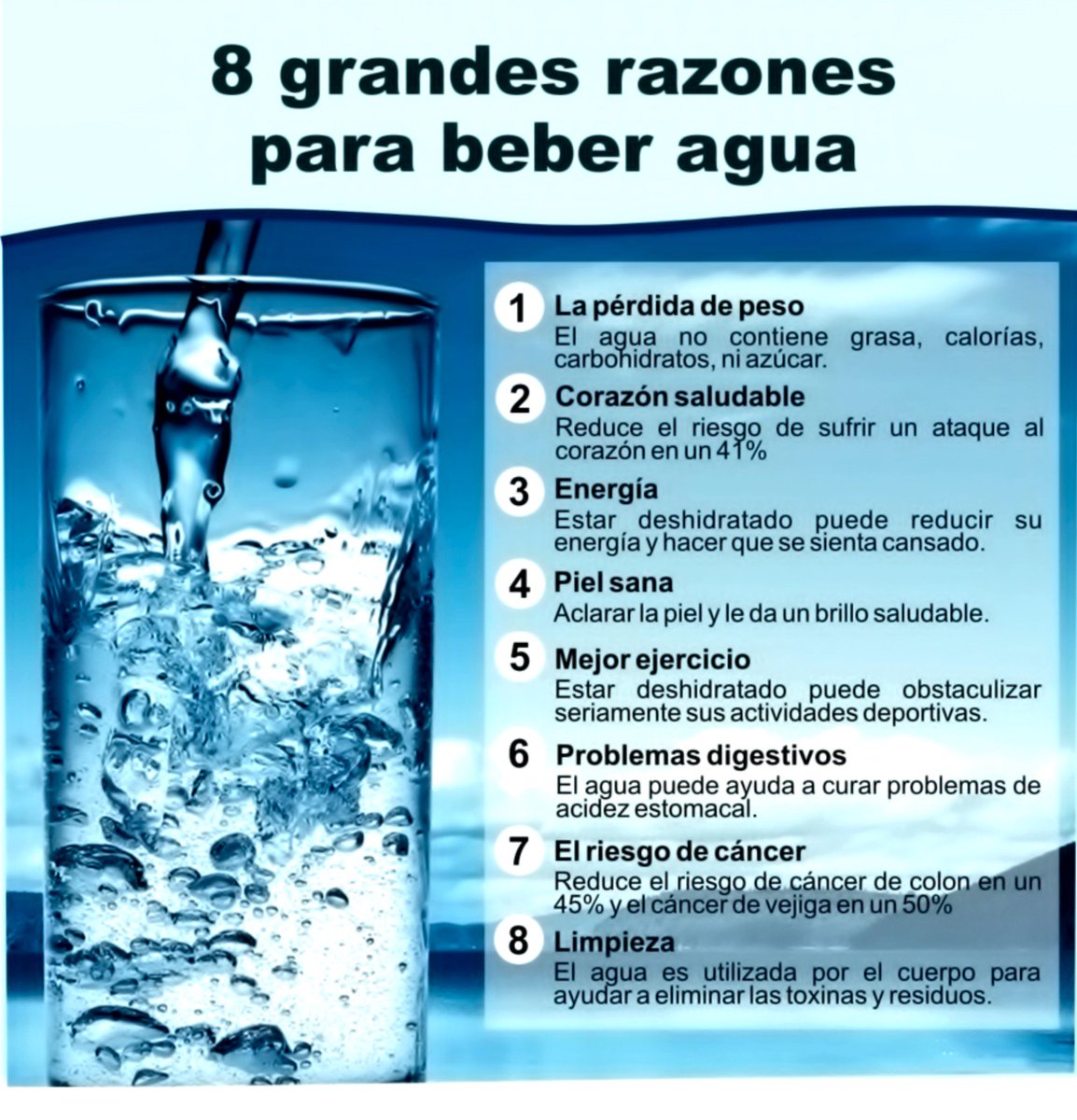 Purificadora de agua