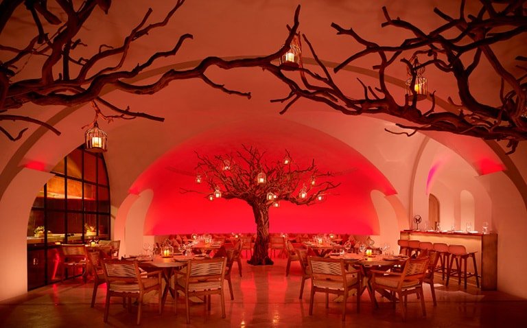 MagicHotels's tweet image. La despiadada belleza de "Ventanas al paraíso" A ROSEWOOD RESORT

San José del Cabo. BCS, México

#EstoEsMexico
#visitmexico