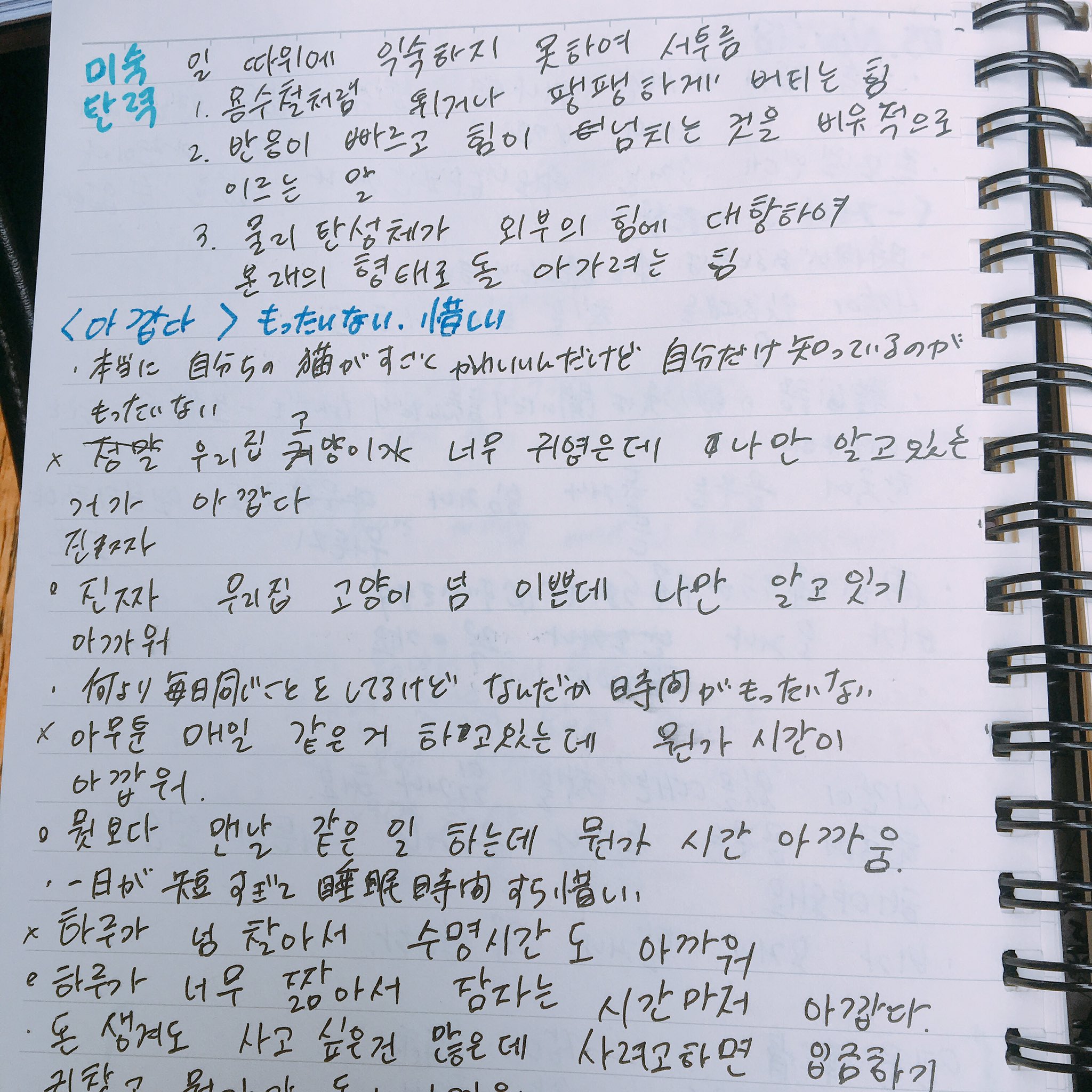 ジニ 韓国コスメに癒されたいフリーライター 作業にならないように綺麗にしすぎず やる気がなくならない程度に汚すぎずを心がけています 笑 2冊持ち歩くのが面倒で英語と韓国語が同じノートに こだわりはなく その時の自分のライフスタイルにあった