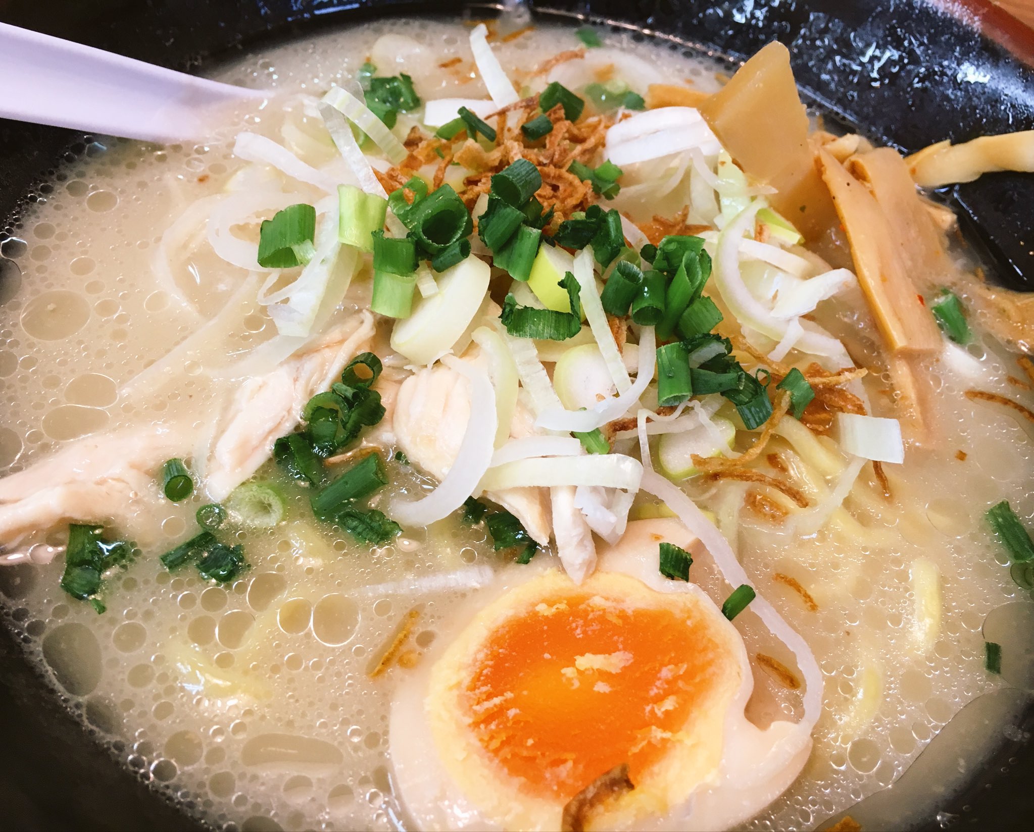 تويتر はせやん おみそブログ على تويتر ラーメン花楽でランチですヨ あたしゃ味噌ラーメンランチ 750円 母ちゃんは 鶏白湯 ラーメン 750円 花楽さんは安くて美味しいよねぇ ټ ﾝﾌ ラーメン花楽 T Co Ngvszegg79
