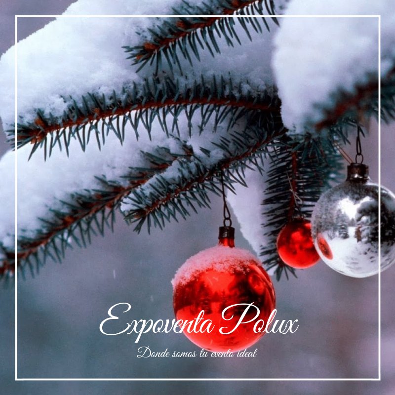 eventopolux's tweet photo. Los más cálidos saludos de esta temporada festiva y los mejores deseos para la felicidad en el nuevo año.
#FelizMartes #25Dic https://t.co/XItu3ZPjFz