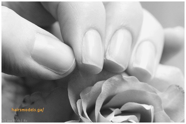 netzieda's tweet photo. Luxury Brüchige Nägel Und Haare https://t.co/qhUjceCwe4 https://t.co/nbm8Z2cuEn