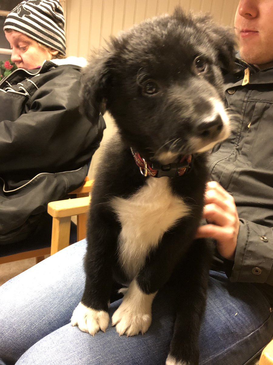 Marie Ström tweet media