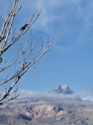 Dağları donmuş sanırsın, oysa bulutlar gibi sürüklenirler.(Neml 88)