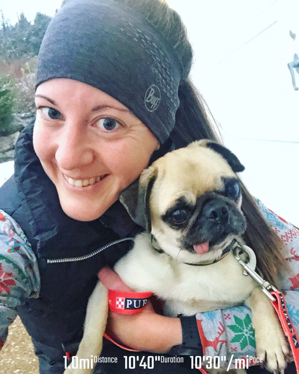 medvm07's tweet image. Mab was a champ on tonight’s run! I haven’t ran with either dog in quite a while so I wasn’t sure how she’d do, but she definitely exceeded my expectations!
#41daysofawesome #dogswhorun  #buffbr #bibravepro #rwrunstreak #archcityrunclub #runstl #strongnotskinny #bibchat