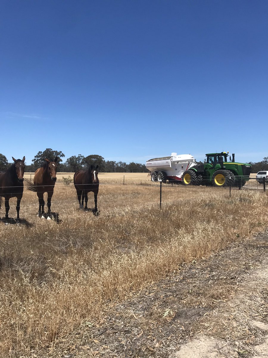 A few onlookers on my travels today #barberengineering  #chaserbin <a href="/BarberBins1995/">Barber Engineering</a>