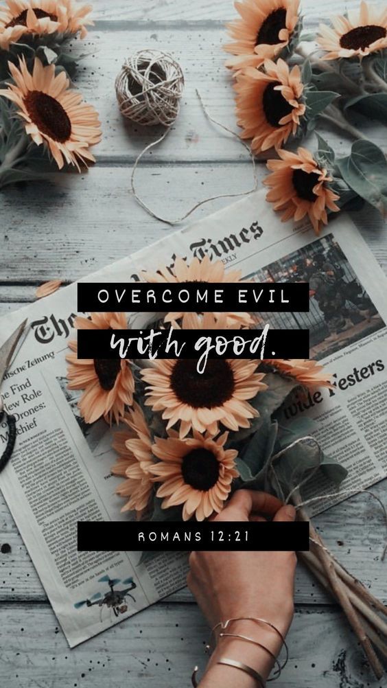 ElevatedFaith's tweet photo. https://t.co/YbxyiikIb6