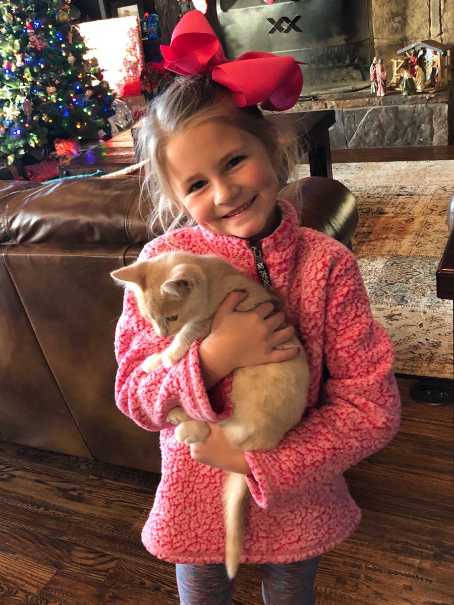 Added another member to our family.  Cooper is one cool kitten and momma is one big sucker for almost 7 year old birthday requests!