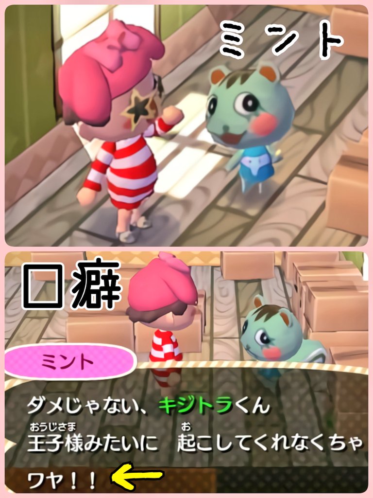 とび 森 サラ とび 森 サラ