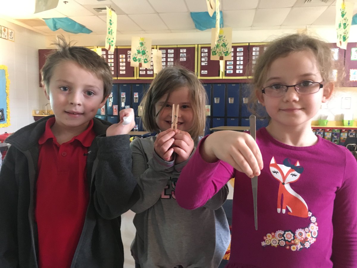 First graders had fun learning about different kinds of beaks in a Project Lead the Way Animal Adaptation module with Mrs. Haithcock and Mrs. Hazen. #SetTheBar #AllMeansAllMCSS