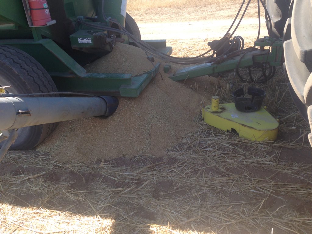 Andrew Polkinghorne tweet media