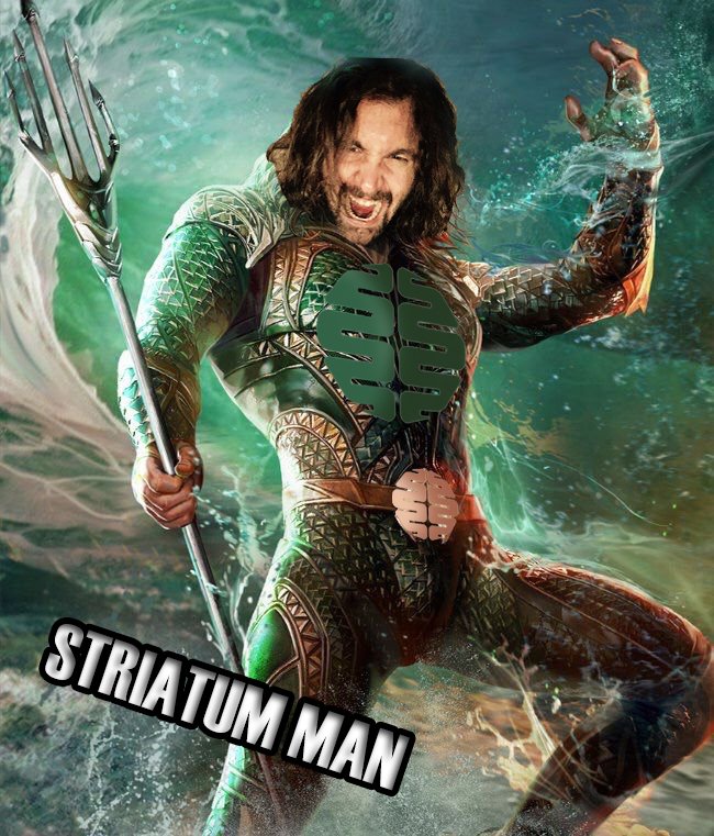 wearestriatum's tweet photo. @TheReachWay @GFuelEnergy You force me to play my trump card... The Striatum man, @GregCCCC, will take care of you easily! https://t.co/pimBeC2IK3