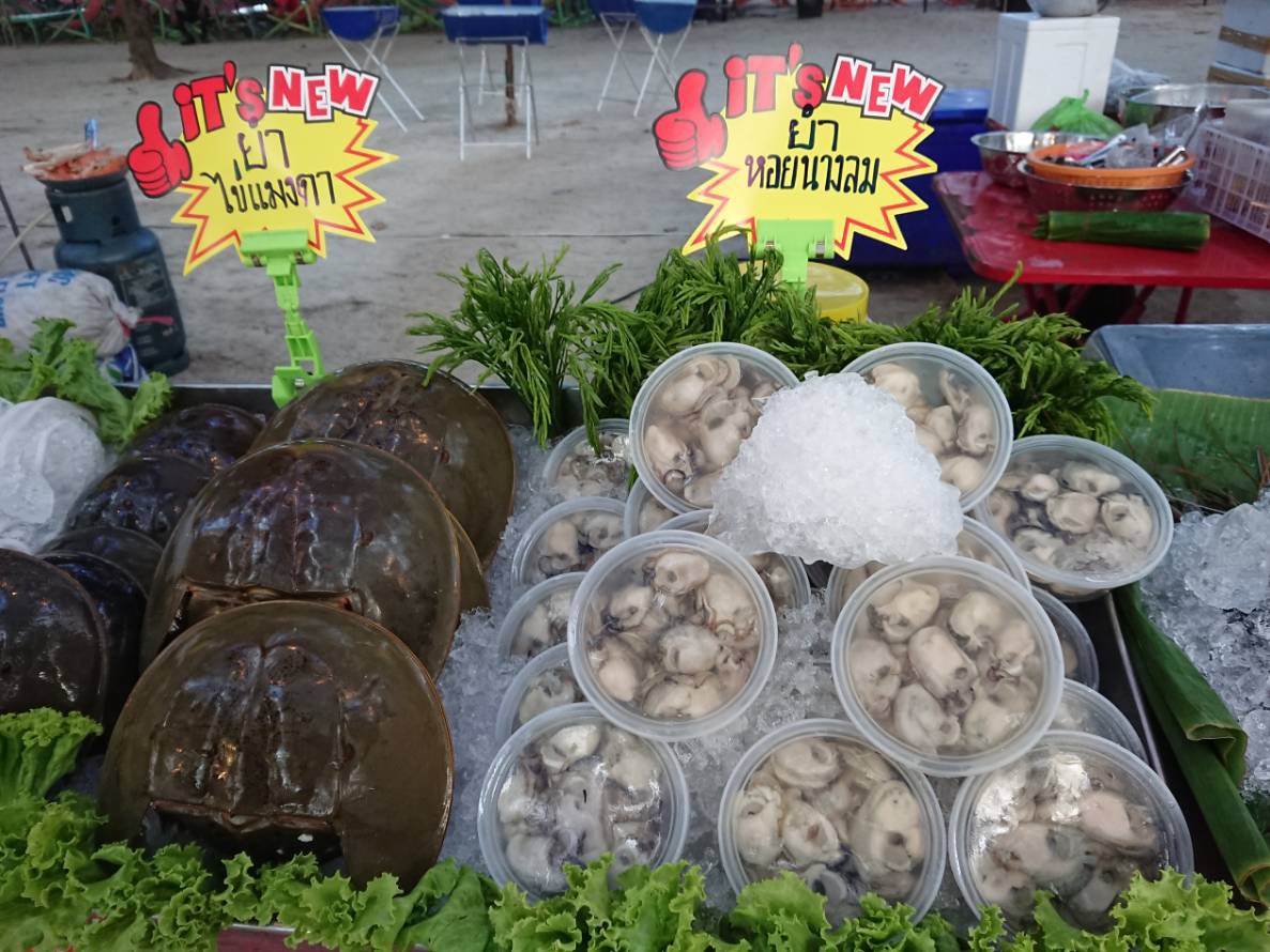 โปรแกรมวันธรรมดาน่าเที่ยวปิ้งอาหารทะเลริมชายหาดชะอำในบรรยากาศสบายๆ ทุกวันอังคารและพุธตั้งแต่วันนี้ถึงวันที่ 27 กพในชื่อกิจกรรม outing. @ ชะอำ ตอน ปิ้งหอยคอยเธอ ซึ่งในงานไม่ได้มีแค่ปิ้งหอยนะครับมีอาหารทะเลมากมาย โดยจะมีการจัดแสดงดนตรีและฉายภาพยนตร์ ริมหาดด้วย #ปิ้งหอยคอยเธอ #ชะอำ