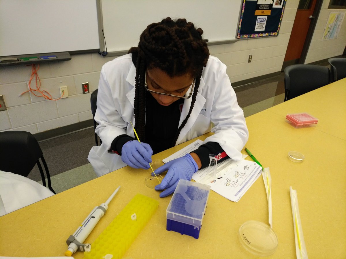Day 1 for Biomed students using recombinant DNA to program E. coli to produce a fluorescent protein. Over the next 2 weeks they will extract, isolate, and purify the protein. <a href="/WorcesterTHS/">Worcester THS</a> <a href="/PLTWorg/">Project Lead The Way</a>