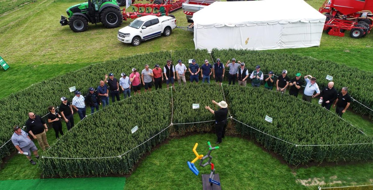 Robinbasf's tweet photo. UK farmers and the BASF team getting a detailed up date from Grant Haggerty. BASF NZ Mr Fungicide at FAR Cereal open day. #InnovationTourNZ #Revysol @BASFcropUK https://t.co/p9RXCQah52