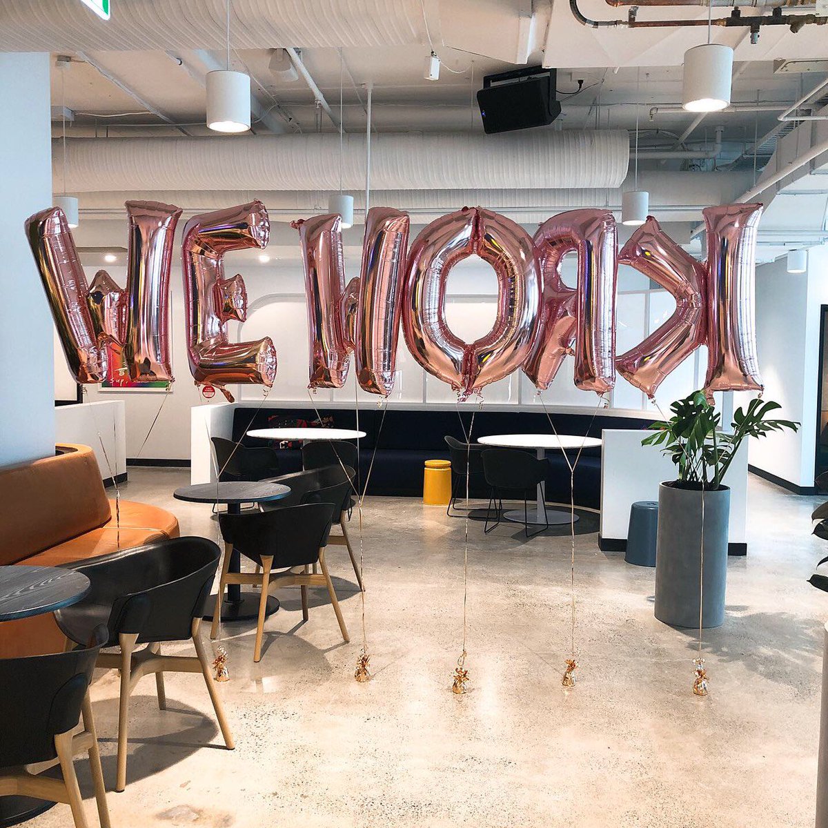 TalentVineHQ's tweet photo. We've moved to the new office!!!Thanks @wework for giving us such an awesome place😄#TechRecruitment #recruitment #startups #hiring #skilledtalent #talentacuisition #wework #community # talentvine #brisbane https://t.co/lHE4jchxPR