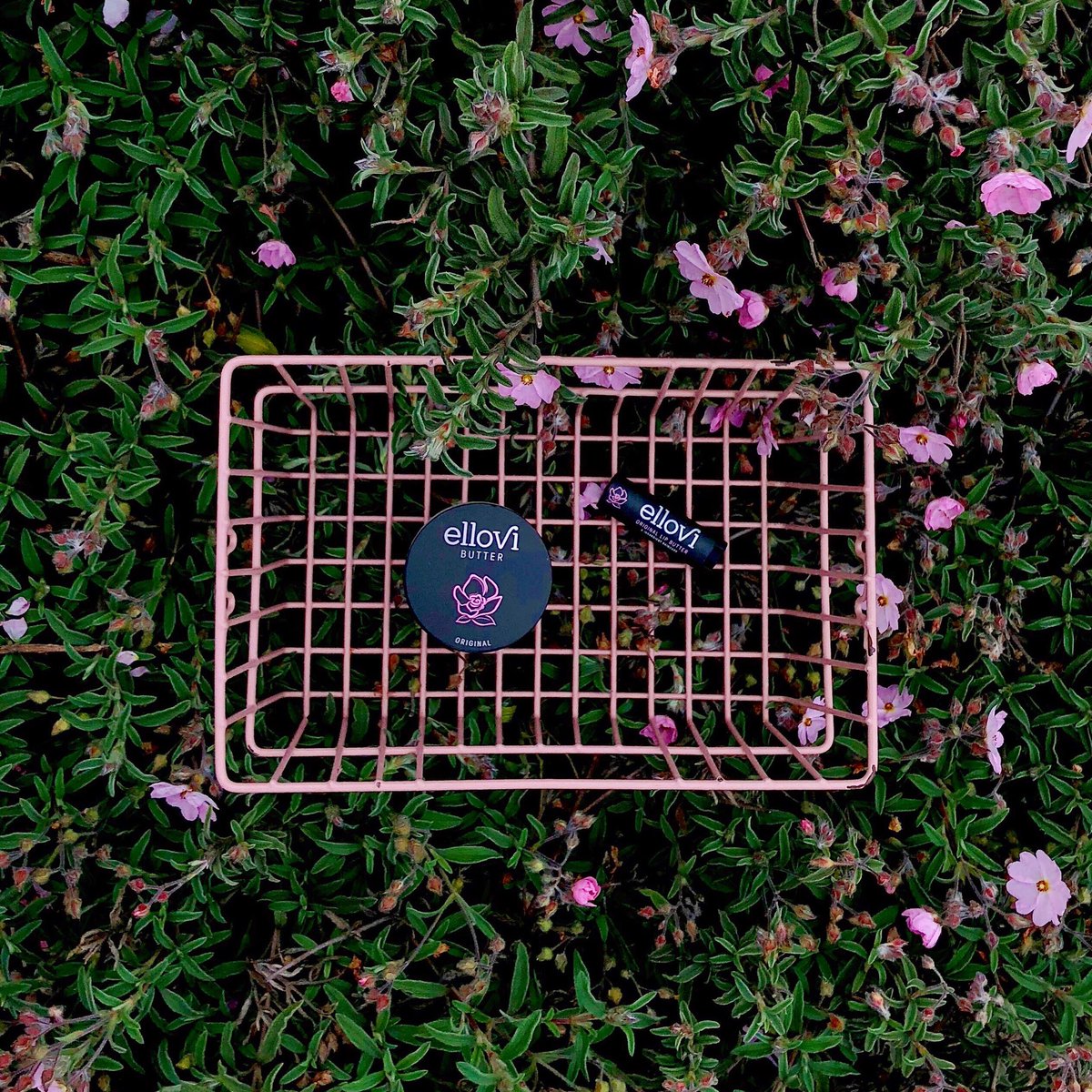 ellovi's tweet photo. Original is back and better than ever. Reformulated &amp; revived with the essence of plants and flowers. #ellovi #veganskincare #crueltyfree https://t.co/Vzi6fujQr9