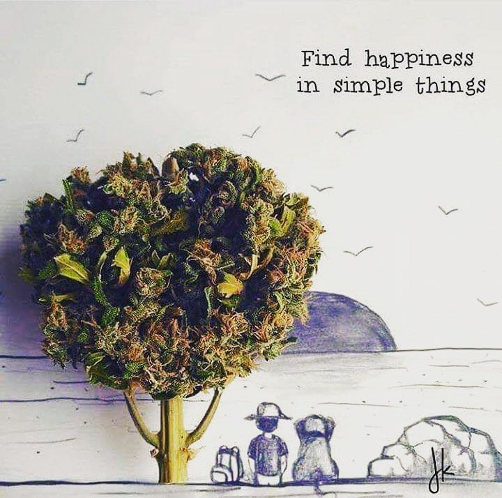 Find happiness in simple things.  #Thoughts #RealMotivation #QuoteOfTheDay #Quotation #Quotes #QuotesForLife #QuoteToShare #QuotesToLiveBy #inspiration #motivationalquotesandsayings #motivationeveryday #everydaymotivation #motivationalquotesandsaying #WisdomTree #WednesdayWisdom