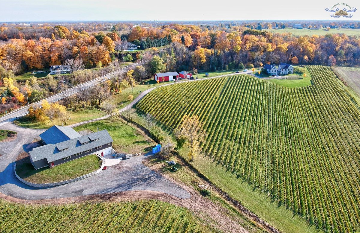 We grow #CabernetFranc on the Niagara Escarpment, NY. #CabFrancDay
