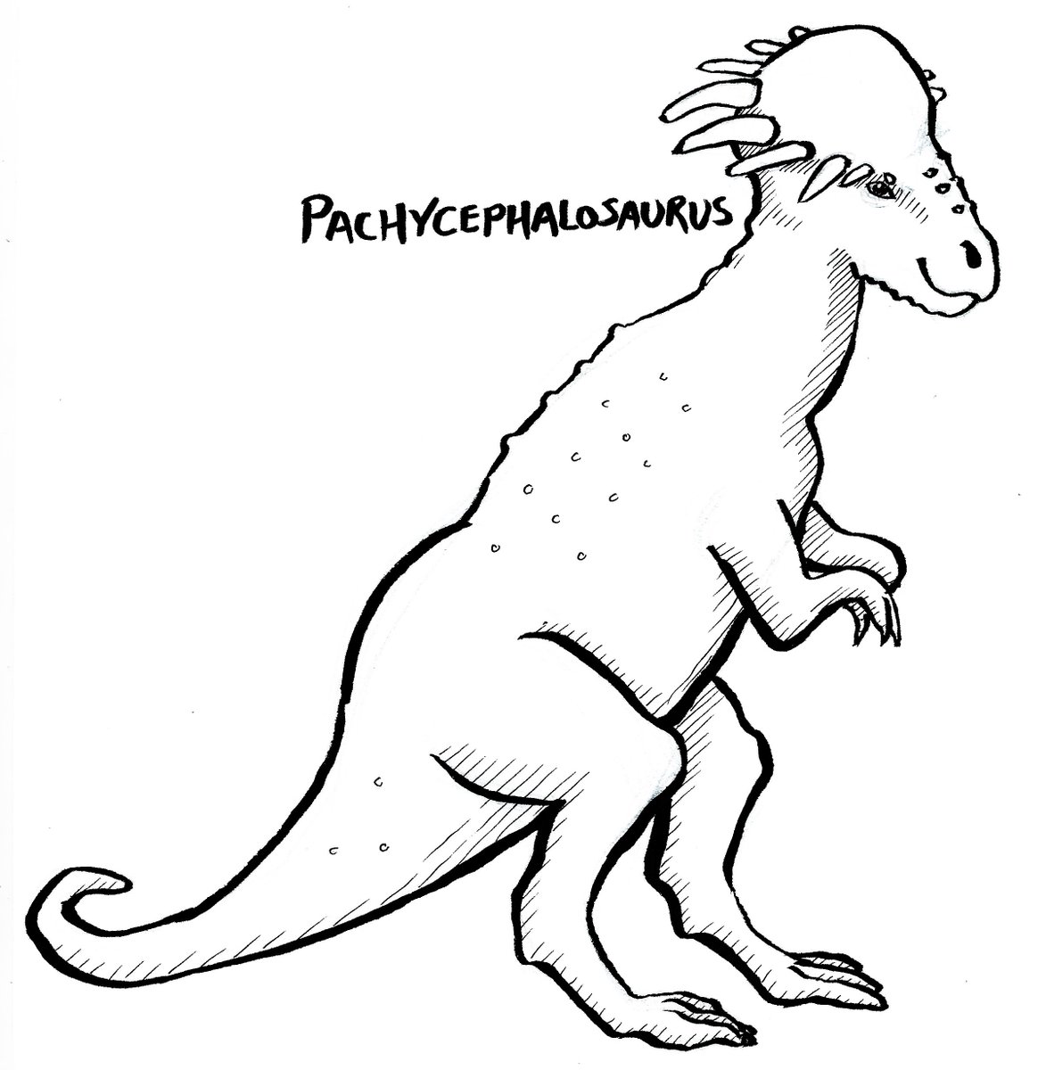 tilde's tweet image. bit.ly/donotbook #dinosaureveryhour