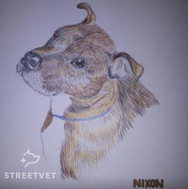 StreetVet tweet media