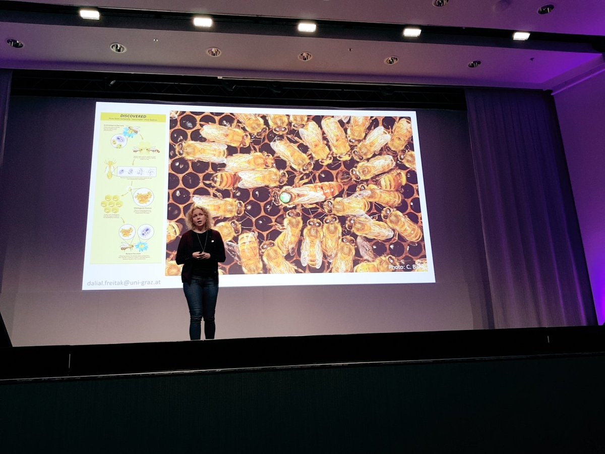 susar's tweet photo. If no science, then no surplus. @helsinkiuni creates #lifescience & #health innovations for the world.
#PrimeBee - first-ever insect vaccine #DalialFreitak @OEB_helsinki
#Ican - globally unique digital cancer medicine platform #KariAlitalo
#yscience #HelsinkiImpact #Slush18 https://t.co/3tyhnAU9Ec