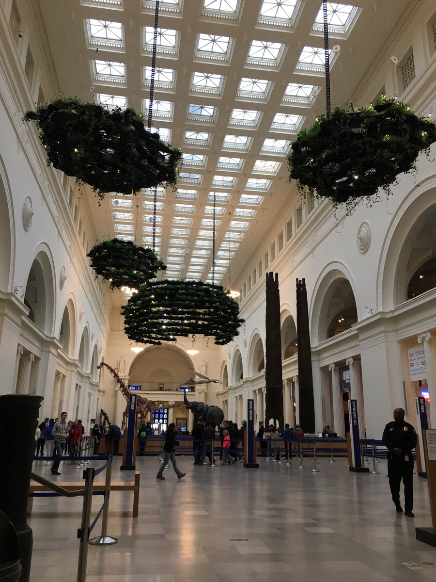 Field Museum On Twitter We Love Schiphol S Ceiling Moss