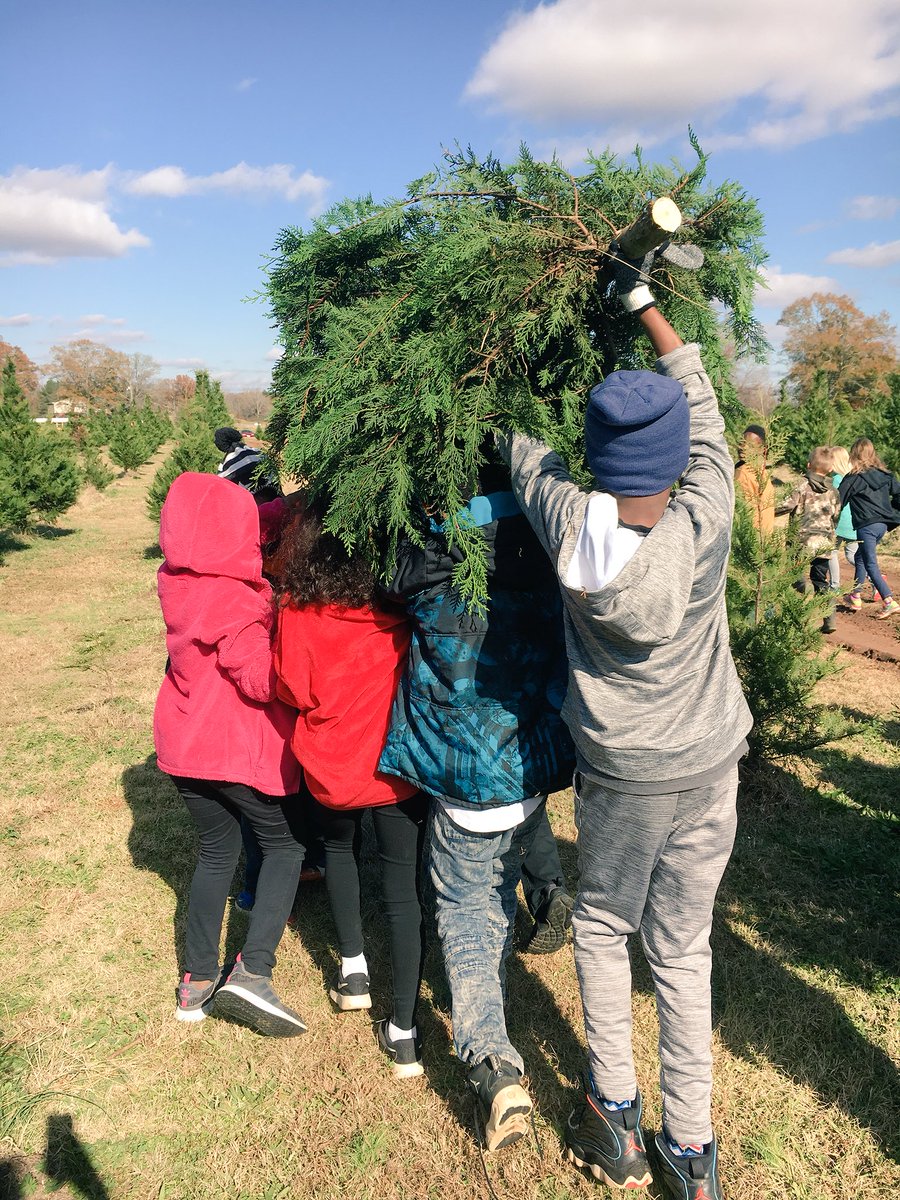 tracyleeking5's tweet photo. Seems to always be the kids favorite part of the trip...the carrying of the tree๐ฒ After I get it cut down, I appreciate the help of getting it to the truck๐๐ผ #atriptothefarm #fieldtripfun #lookslikework๐๐ผ https://t.co/Uro1AZLkYv