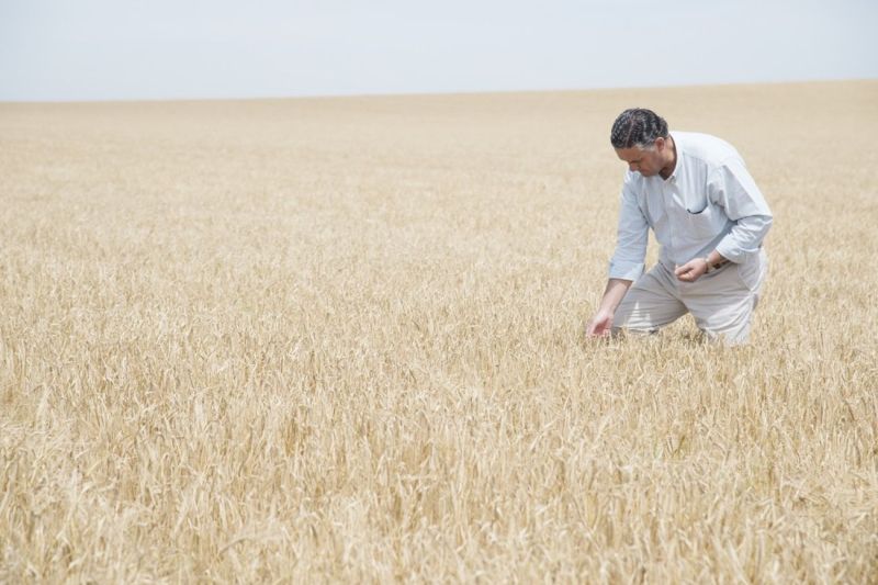 🔵  <a href="/Heineken_ES/">Heineken España</a> usará energía de la #biomasa procedente de la poda del #olivar, lo que supondrá una reducción de casi al 100% las #emisiones actuales directas de CO2 al año.
elcirculoverde.es/heineken-elabo…