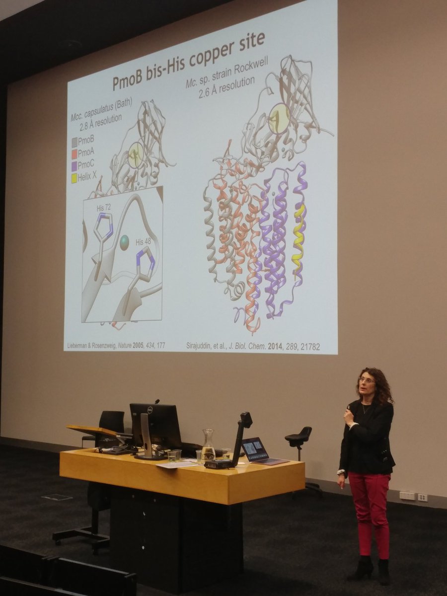garagao's tweet photo. Amy Rosenzweig from @RosenzweigLab is the 1987 #SCANZ invited speaker for #AsCA2018. Work on methane monooxygenase is inspiring in a search to find ways to capture methane from atmosphere to contra global warming #AsCAnz #crystal32 #globalwarming #crystallography #metalloproteins https://t.co/rN4Mq1nK75