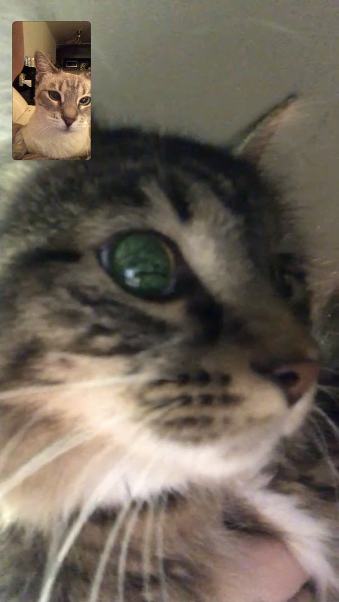 moth! ✶ (@puzzlcs) on Twitter photo 